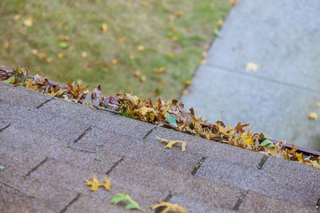 clogged gutters